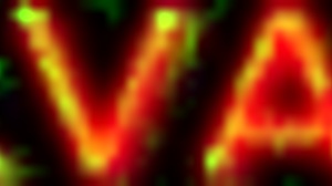 bruna silva's hotwife adventure with muff diving