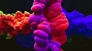 Tutorial on using hard in ass 😏