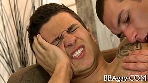 lewd homosexual hunks share intense cock action