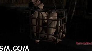 The Babe Says, 'Give Me That Hardcore Blowjob While Bound And Spanked'