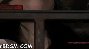 The Babe Says, 'Give Me That Hardcore Blowjob While Bound And Spanked'