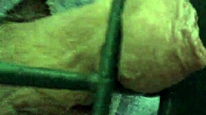 Ohhhh that gate opens for close up