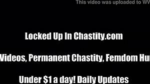 A Chastity Device Will Keep You Out Of Trouble!