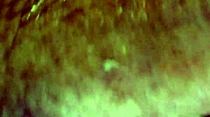 Morning Fun with My Toy Doll in Close-Up Action