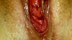 Vegas stripper with wet puffy pussy