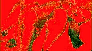 Vintage Erotic Cartoon Illustration