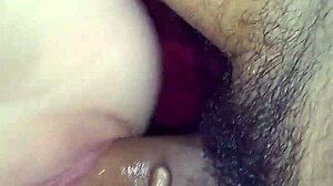 video file from january 12 2018 with timestamp 032029924 version 2