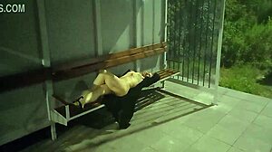 a peaceful night walk in the park