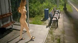 a peaceful night walk in the park