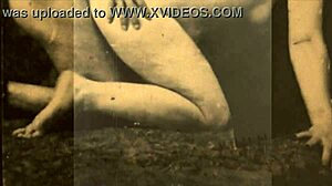 explore the wonderful world of vintage mature hairy milf pornography?