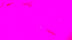 Quick Doggystyle Session