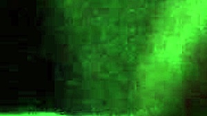 Video Clip From August 3 2017