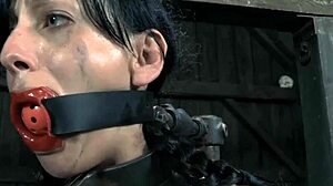 Why is this boxed up girl taking such nasty hardcore fucking in her tight pussy?