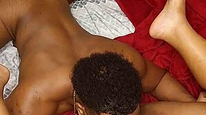 Ebony BBW Gets Ass Licked