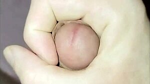 Young Amateur's Solo Dick Play Session