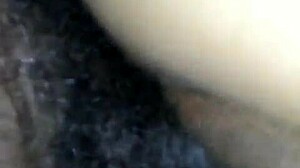 Light skin ebony amateur gets creamy