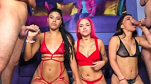 those college sluts say they love sucking cock while getting footjobs in lingerie