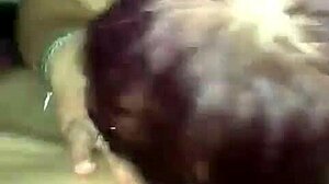 young guy being sucked by older mature woman