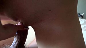 renee rose pov blowjob