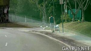 Fellows Having Homosexual Sex