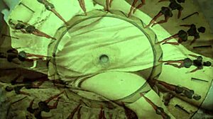 vintage erotic art hints at hidden desires