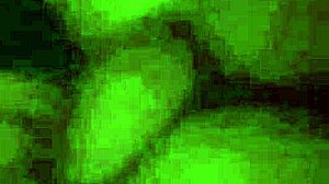 Couple explores positions on dining table with oral and creampie