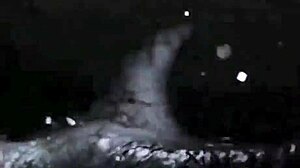 Vintage Erotic Drawings Of Hentai Anime Characters.