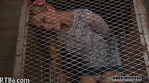 I Tease The Beautiful Woman With Oral Pleasures