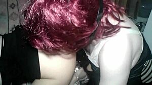 Troio Cagna Travestita Umiliata Nel Cesso!