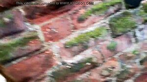 Honour gets hypnotized to flash boldly in public spaces