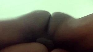 Latina Neighbors Orgy Anal Sex Without Condom