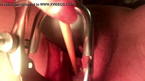 cervix insertion stretches deep