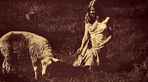 Dark Lantern Entertainment Presents Beauty And The Beast