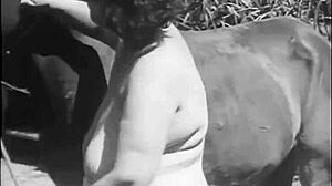 Dark Lantern Entertainment Presents Beauty And The Beast