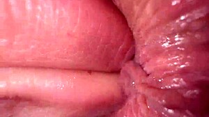 Close Up Ass Fingering with Dirty Talk for Brunette Anal Orgasm