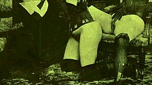 Vintage 19th Century Pornography Collection