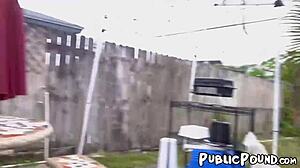 Brown And Busty Aaliyah Hadid In Public Scene