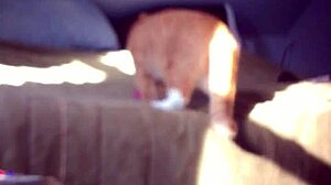 Hidden dildo toys orgasm masturbation session