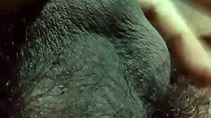 Old bull dominates wife in cuckold fun!