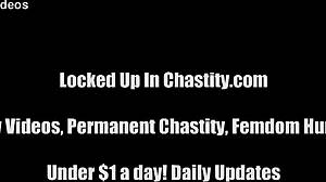 I dare you to wear this chastity device now!