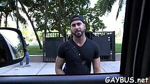 Free Goo During Wild Homosexual Sex Contest