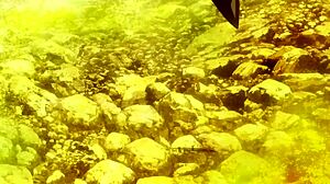 i love dakara boku wa h ga dekina cap 7