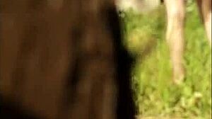 Summer Days for Voyeurs