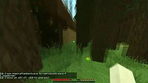 I, the padre, show my cajado to the novinhos carecas in Iggsburn Village part 2 on the ranch.