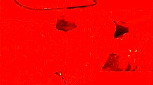 Look at This Giant Dick Filling My Ass With Cum!