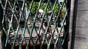 Futa On Female Chaconne Suck Off Aya In Public