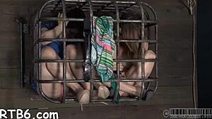 Femdom mistress torments slaves with hardcore fucking and blowjobs