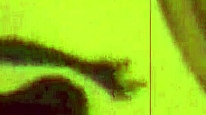 vintage erotic illustration from antique cartoon in retro anime hentai style