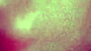 I suck my own big dick in beautiful autofellatio