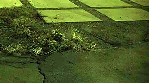 Brazilian Bdsm Scene From The Sixties Era